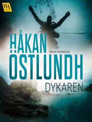 cover image of Dykaren
